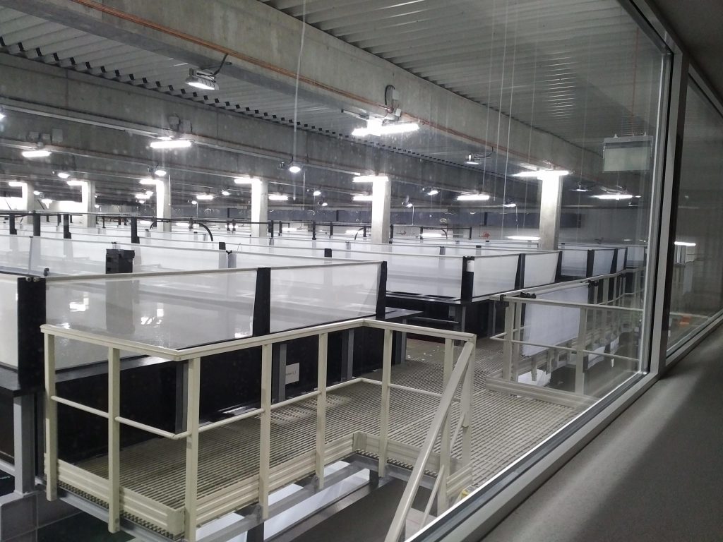aquaculture projects – futurefish aquaculture