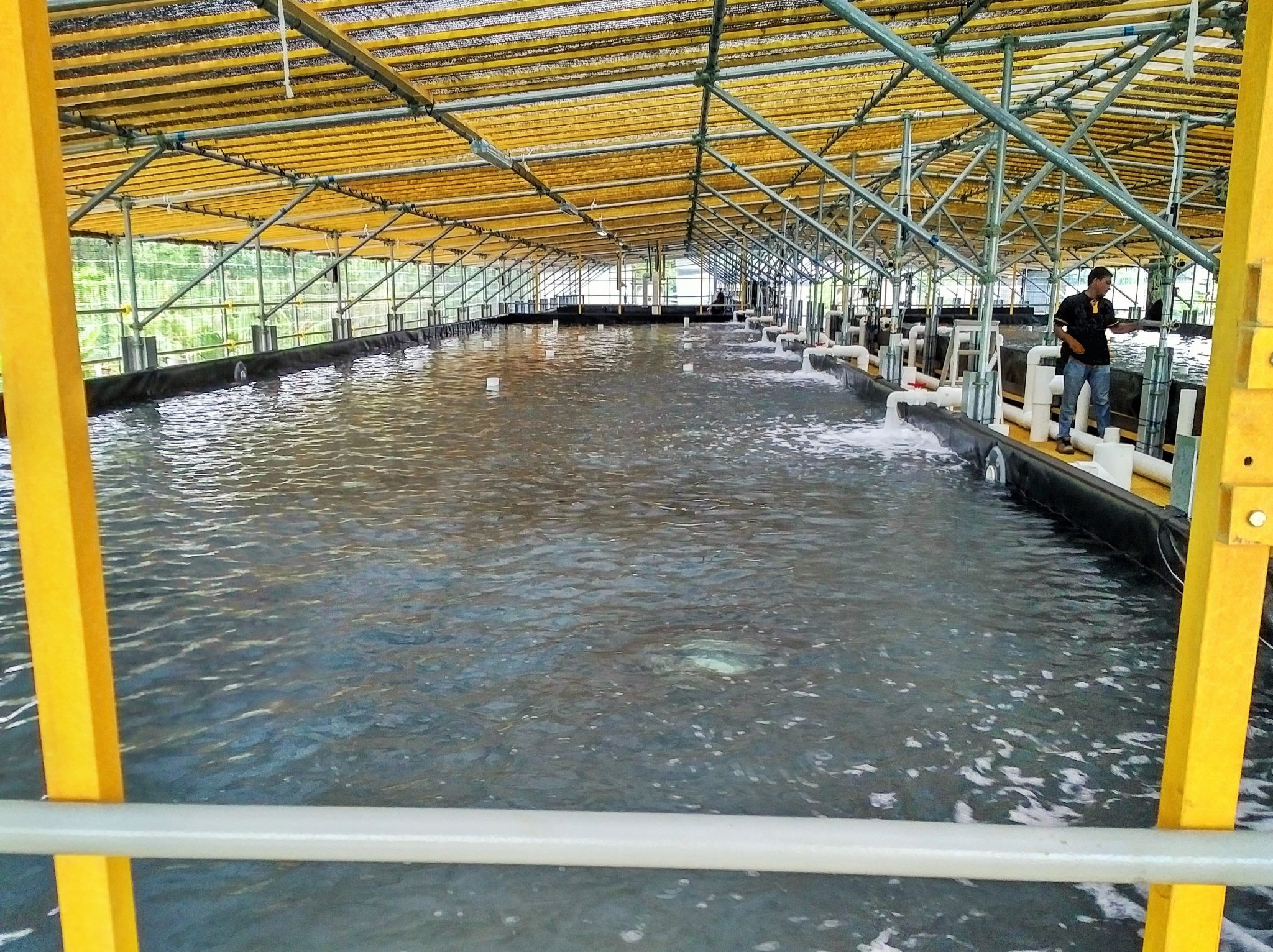 Aquaculture Engineering And Farm Design Design Talk